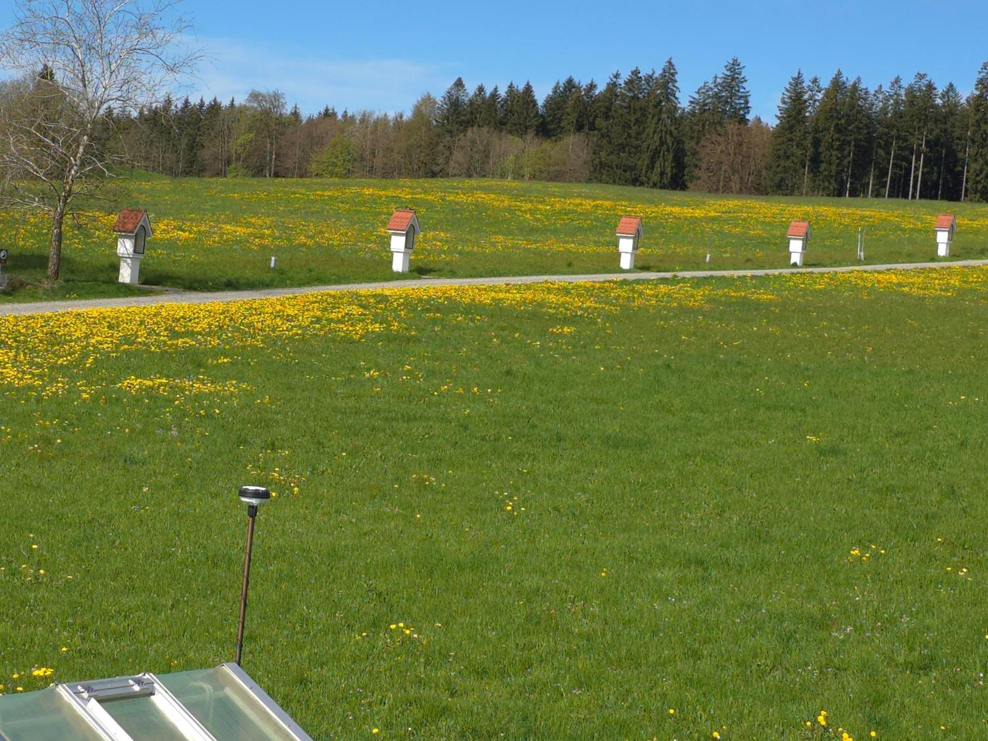 Alpenblick Apartman Leutkirch im Allgäu Szoba fotó